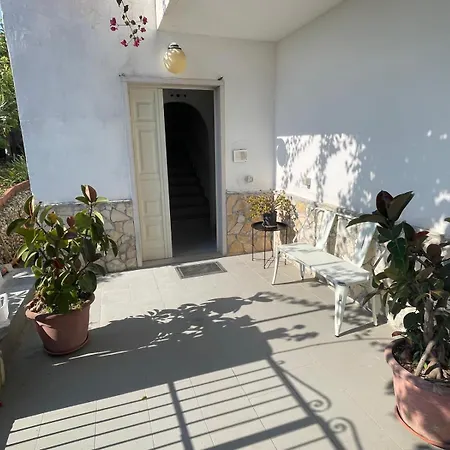 Biscotti-10 アパート