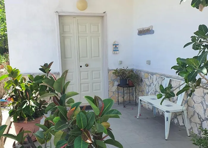 Biscotti-10 アパート